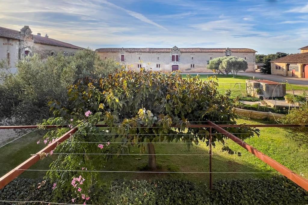 Вилла Mas De Charme En Pleine Camargue Сен-Жиль Экстерьер фото